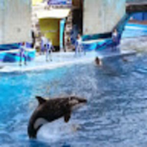 Meet your Posher, Jungah